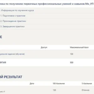 Практика Менеджмент Синергия (Управление проектами)