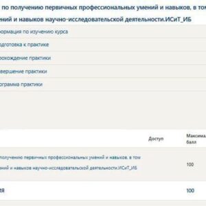 Практика Синергия. Информационные системы и технологии