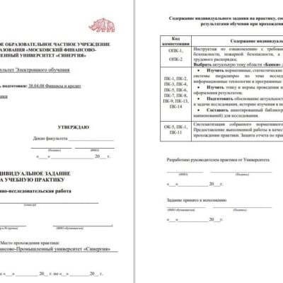 Научно-исследовательская работа Синергия практика (Финансы и кредит)