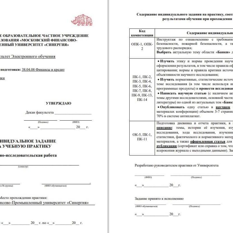 Отчет по практике синергия управление проектами