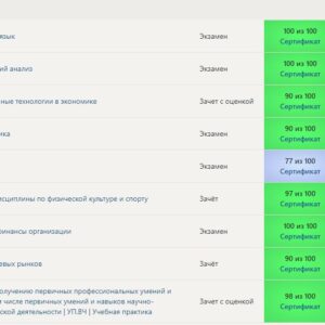 Практика по получению первичных профессиональных умений и навыков Синергия 2 семестр Э_БУаИА